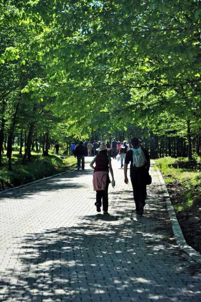 Gümüşova Dereköy ve Yeşilyayla Köyleri Arası Doğa Yürüyüşü Etkinliği